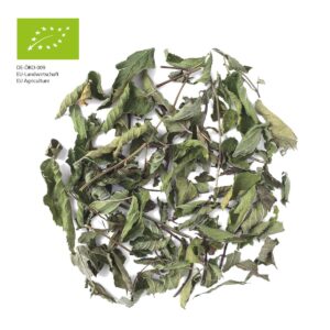 Pfefferminze Bio Kräutertee