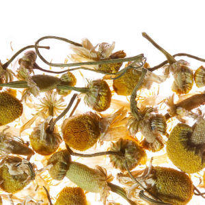 Chamomile Meadow